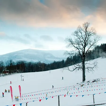 Апартаменты Pod Sniezka *