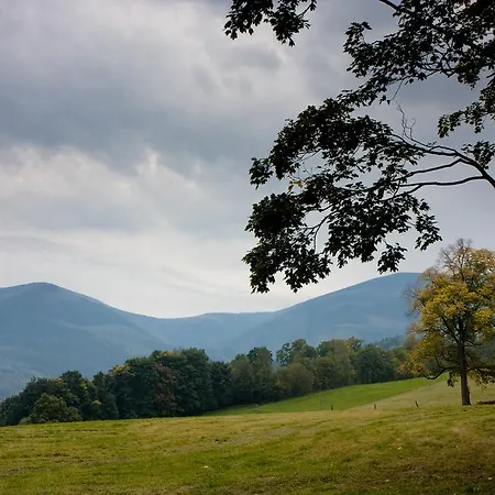 Pod Sniezka Апартаменты *